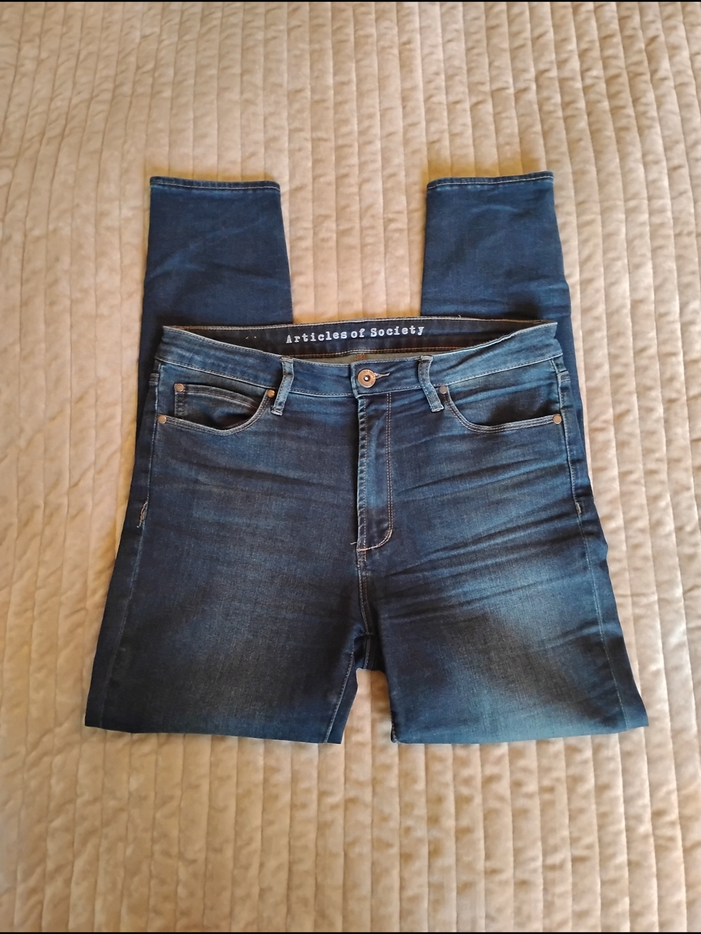 Articles Of Society Indigo Skinny Jeans
